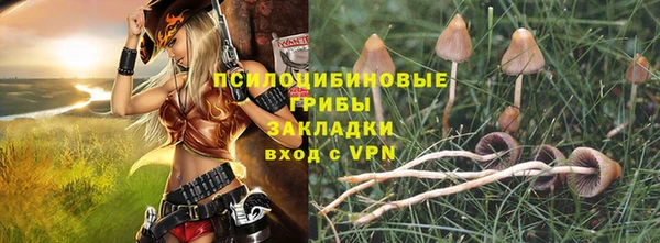 apvp Алексин