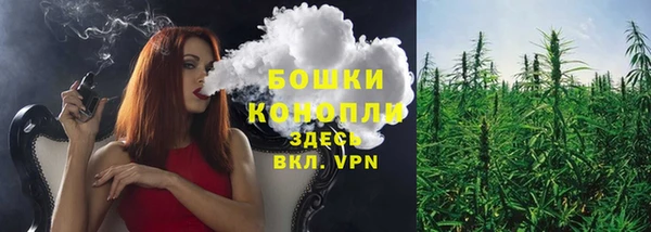 соль ск Всеволожск